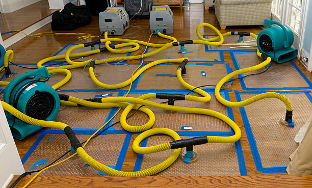 Professional Structural Drying And Dehumidification technician working in College Grove, TN